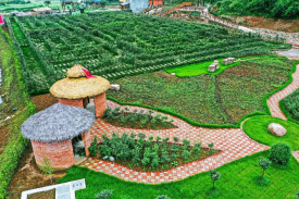 云南省中草药种植观光康养幼镇建设项目可行性钻研汇报