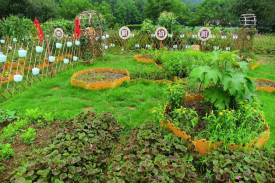 河北省中草药种植康养休闲游览观光建设项目可行性钻研汇报
