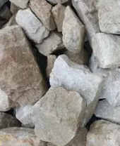 6b69ce9250bb8e21