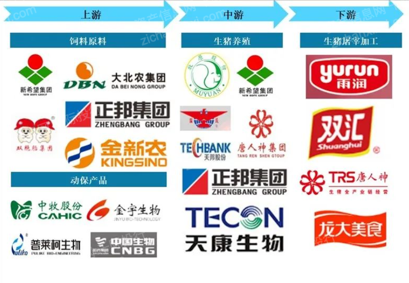 j9国际站(中国)集团-官网直营
