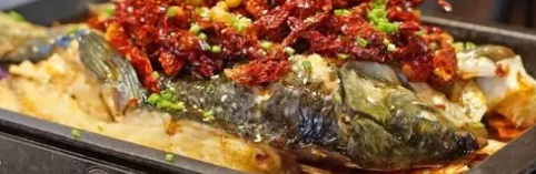 j9国际站(中国)集团-官网直营